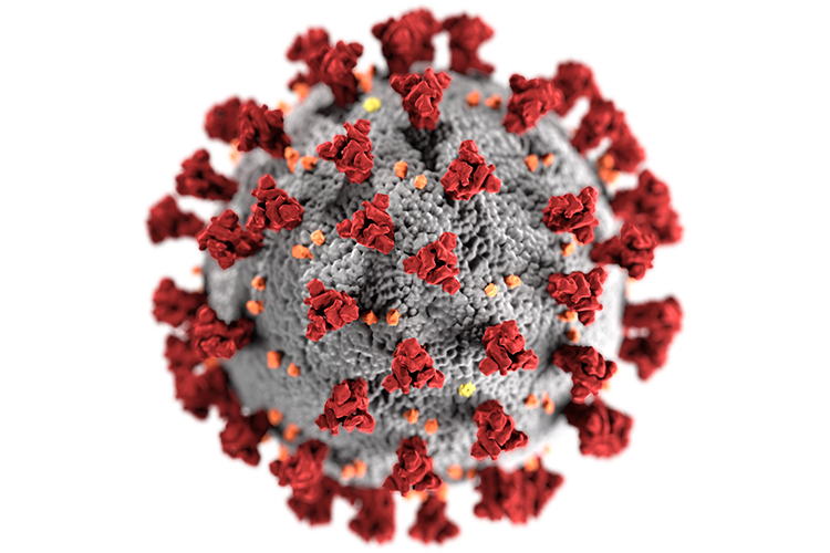 Study highlights neurological impact of Covid-19 on children
