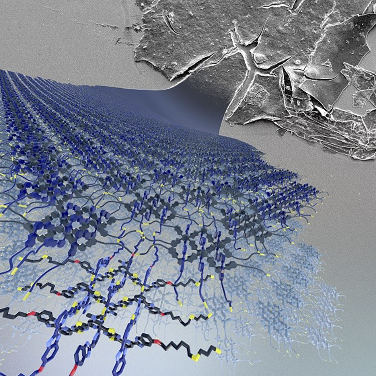 University of Manchester scientists awarded a Guinness World Record for the ‘Finest Woven Fabric’