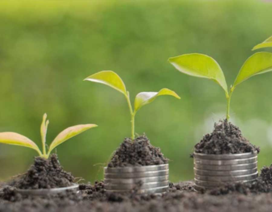 Ethical Vanities: the promise and pitfalls of social responsibility